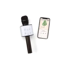 black karaoke microphone