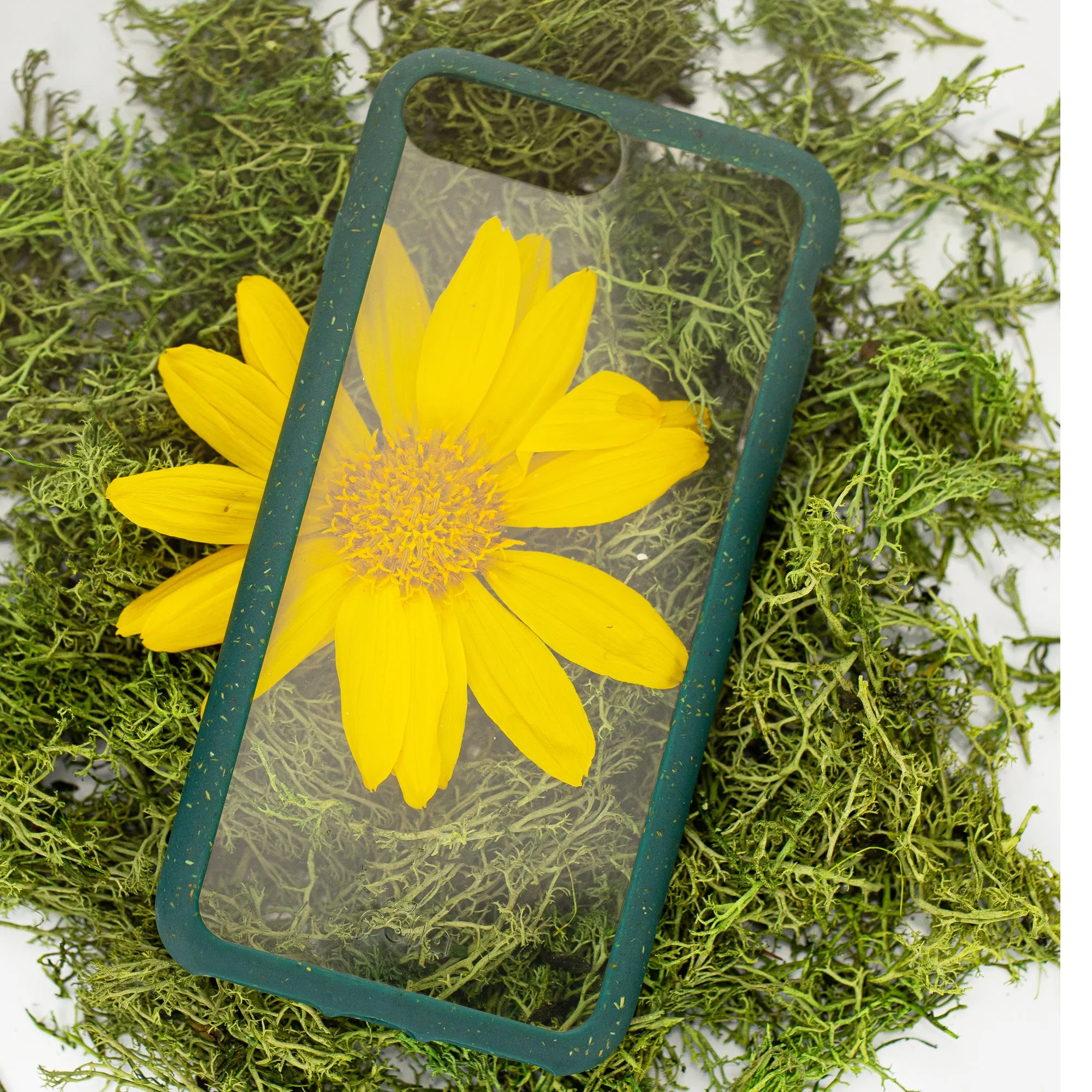 Clear iPhone Plus Case with Green Ridge