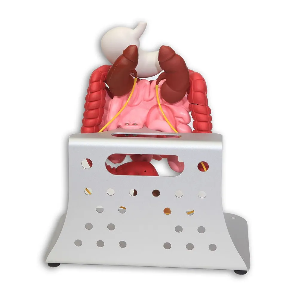 Otto Ostomy Advanced Model With Carrying Case