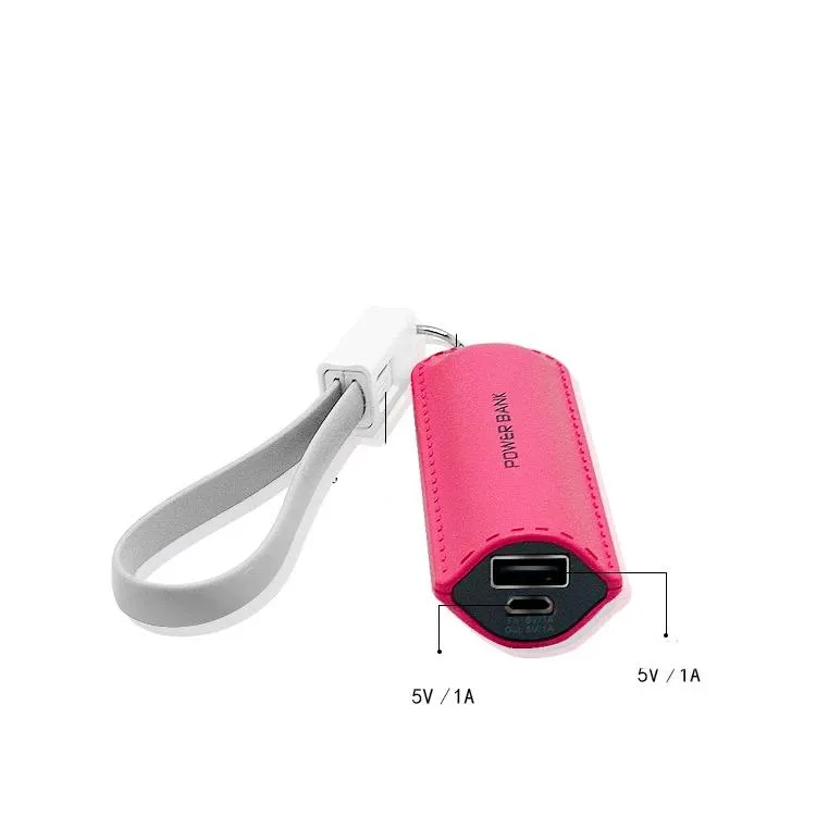 Power Bank With Data Transfer Storage